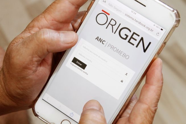Criador utilizando o sistema Origen pelo celular