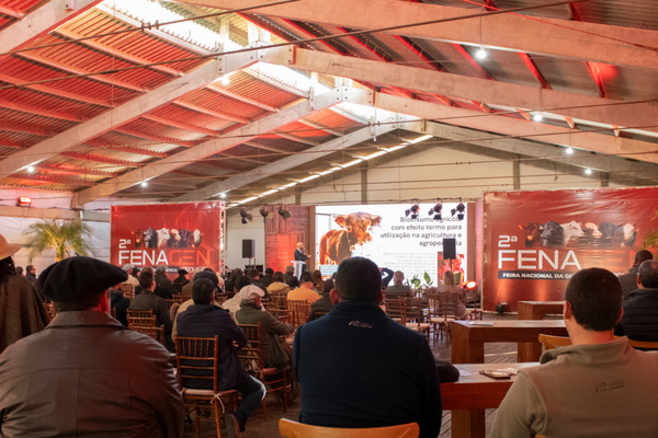 Fenagen amplia programação técnica e reforça foco em genética e qualificação da pecuária