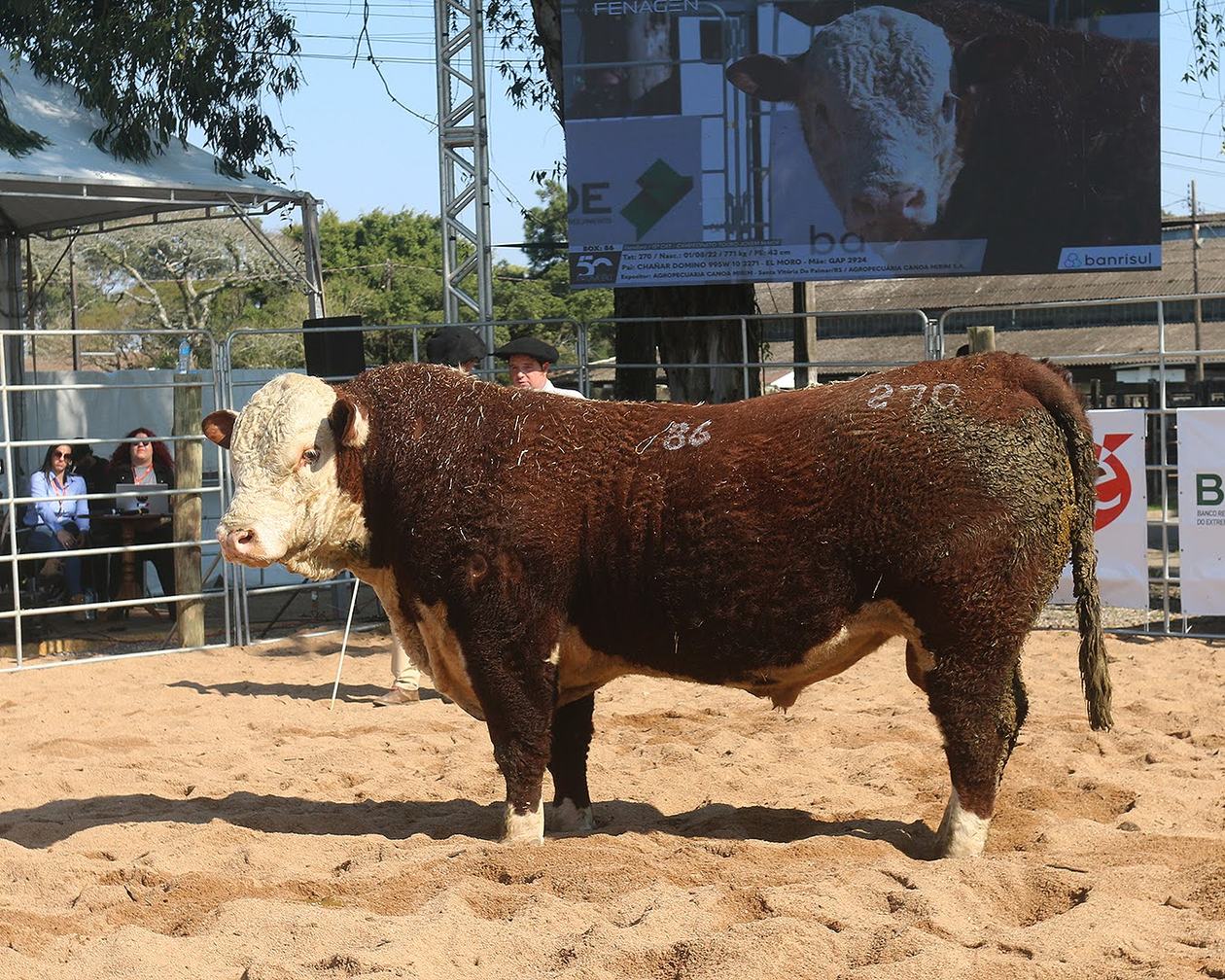 legacy-galeria-foto-624