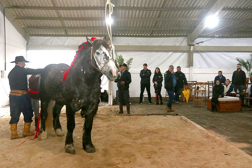 legacy-galeria-foto-684
