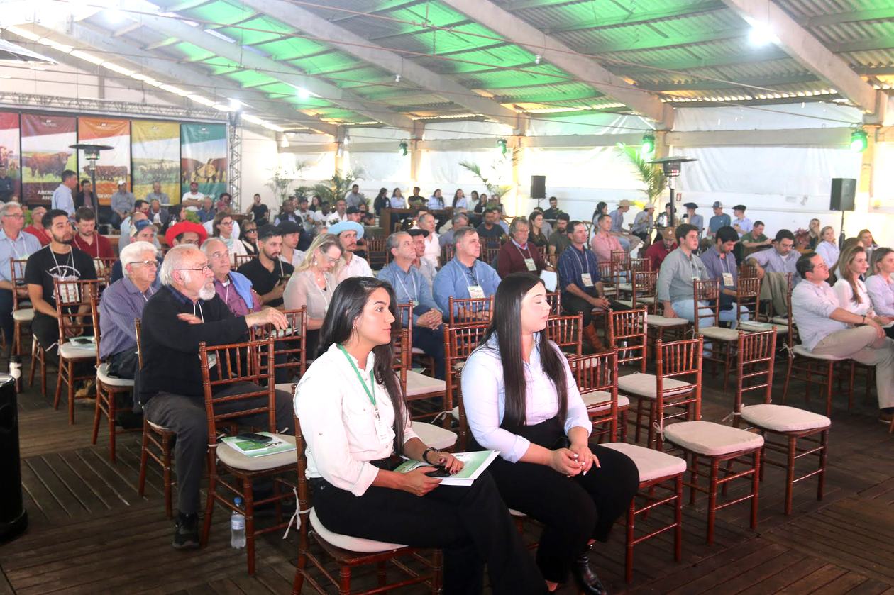 legacy-galeria-foto-729