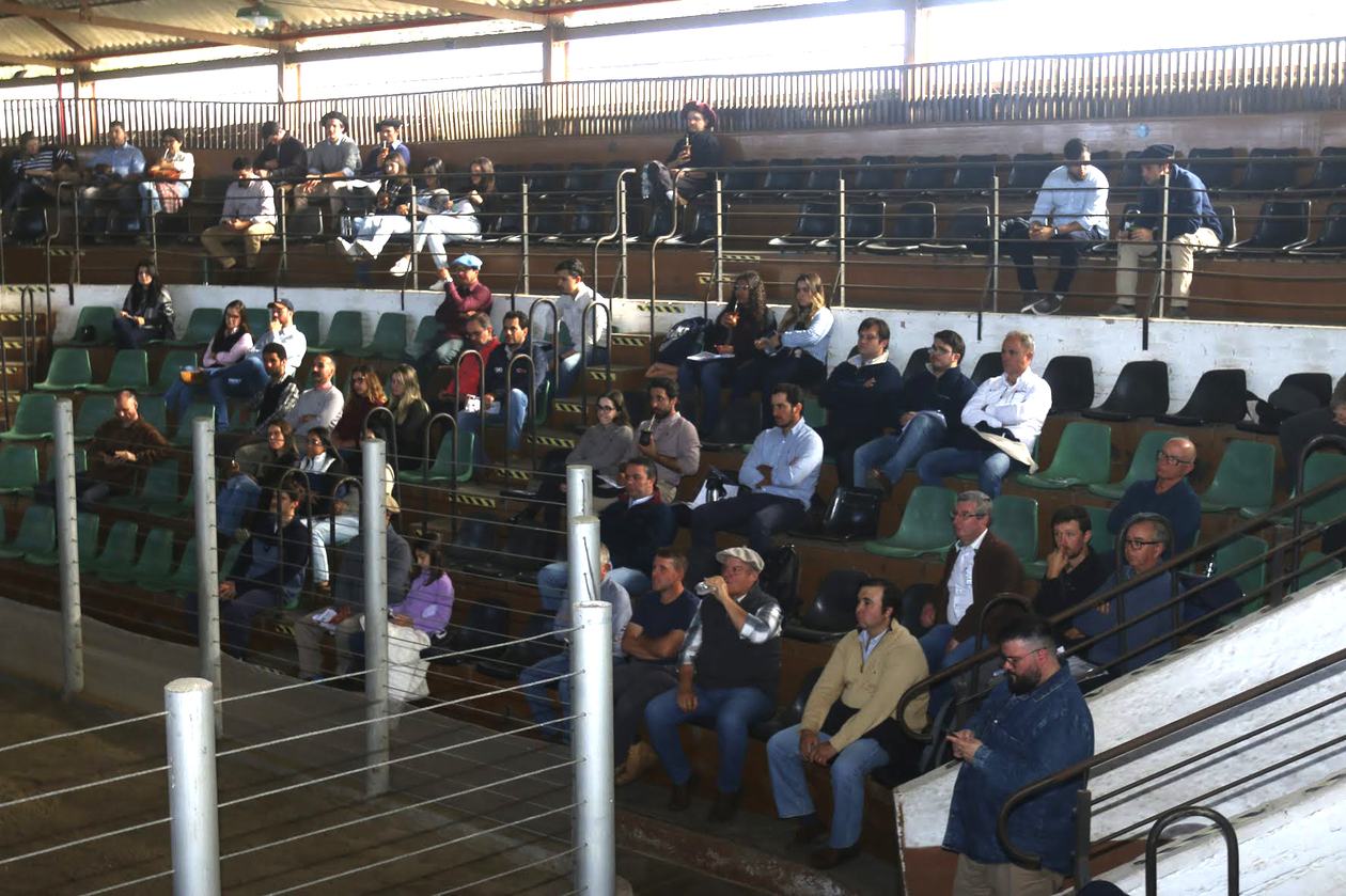 legacy-galeria-foto-750