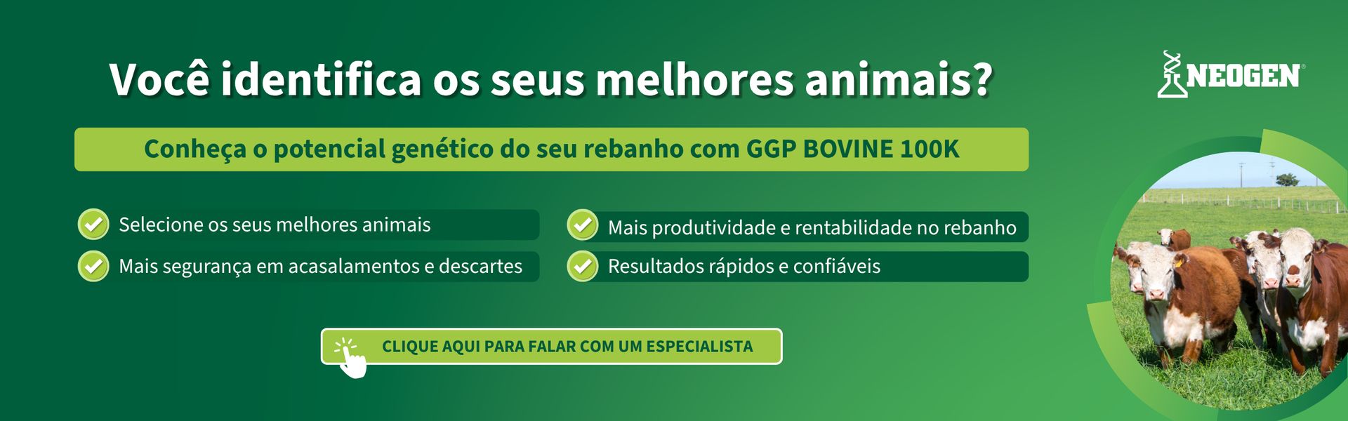 Banner Site - ANC - Desktop