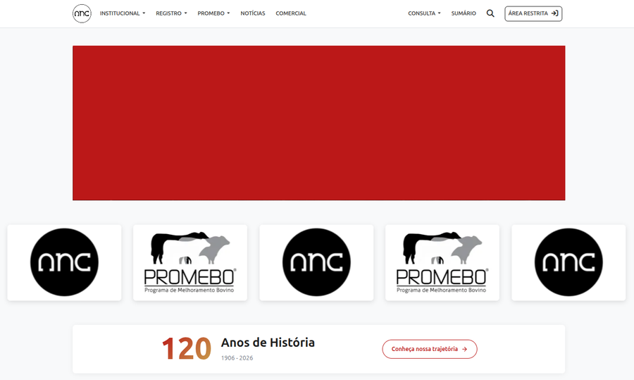 Imagem de exemplo do espaco Banner Carrosel