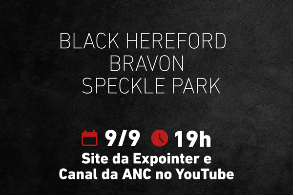 ANC realiza live com novas raças durante a Expointer