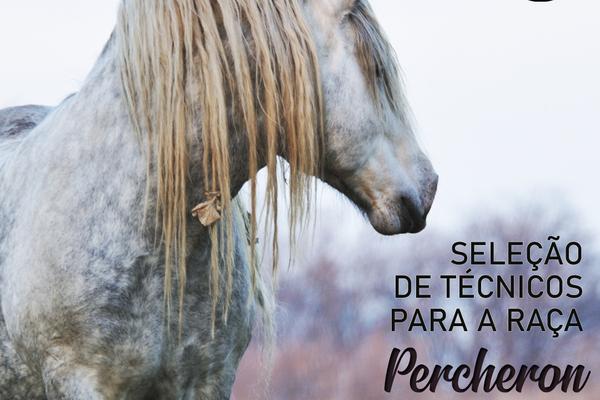 ANC seleciona novos técnicos para a raça Percheron