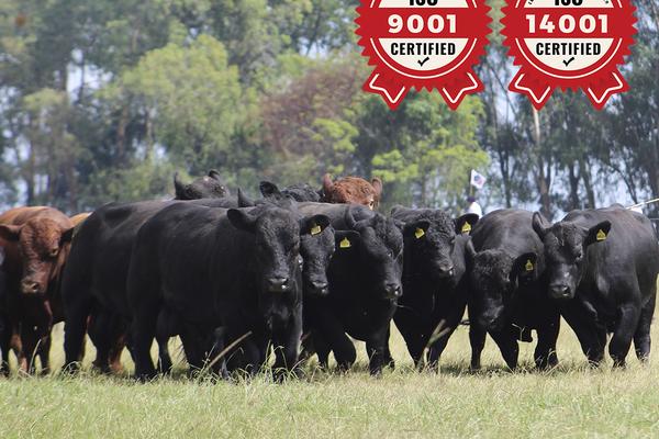 ANC trabalha para garantir sustentabilidade no agronegócio