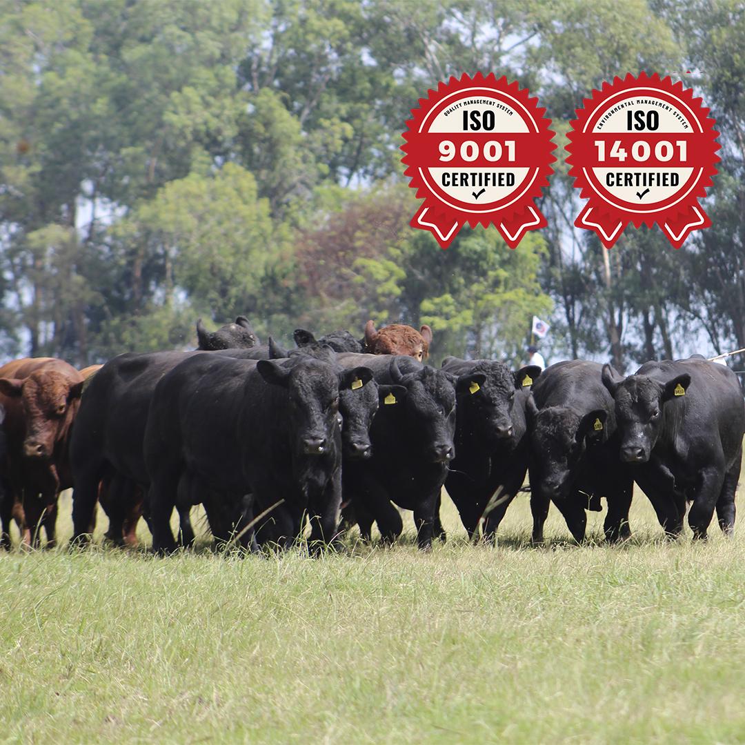 ANC trabalha para garantir sustentabilidade no agronegócio - Imagem