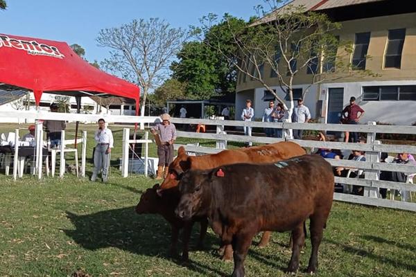 ANC participa de julgamento de animais na 82ª Expofeira de Arroio Grande