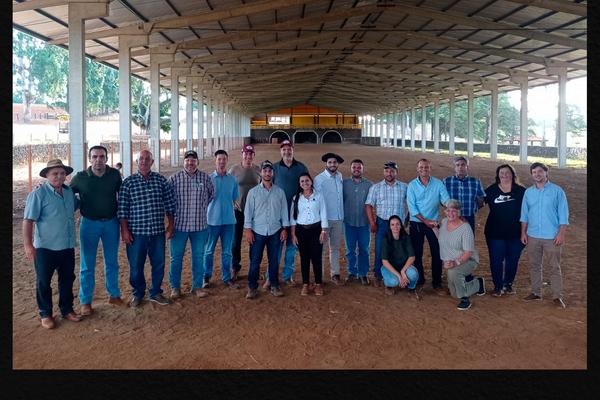 ANC realiza seleção de técnicos da raça Percheron
