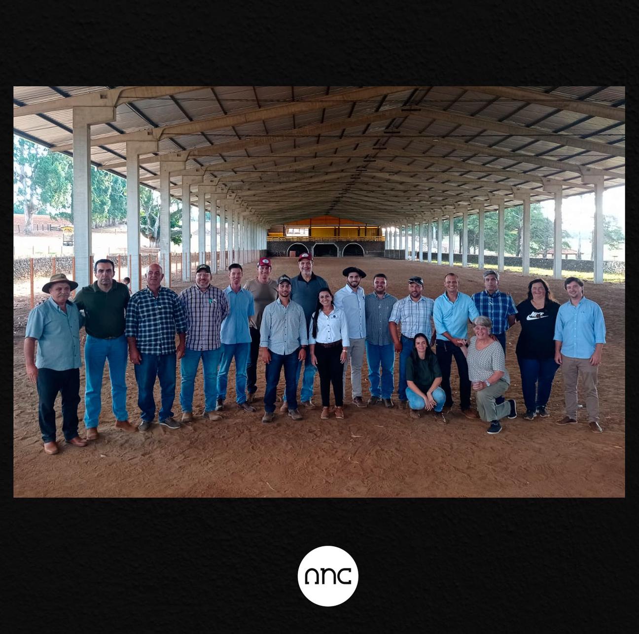ANC realiza seleção de técnicos da raça Percheron - Imagem
