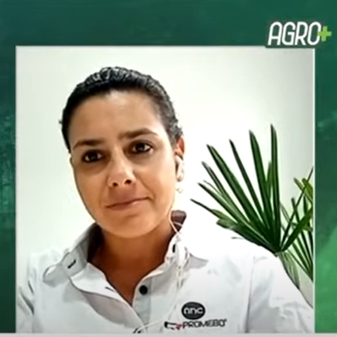 Aumento no número de registros é destaque no programa AgroTarde - Imagem