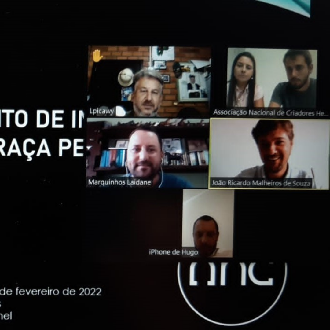 Inspetores técnicos da raça Percheron são credenciados - Imagem