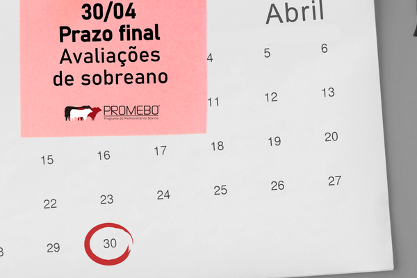 Prazo para envio de avaliações de sobreano ao Promebo encerra em 30 de abril
