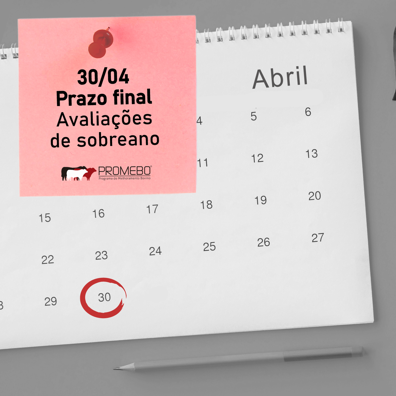 Prazo para envio de avaliações de sobreano ao Promebo encerra em 30 de abril - Imagem