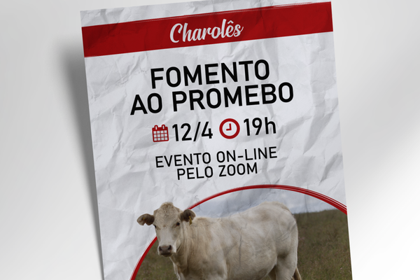 ANC promove o fomento do Promebo na raça Charolês