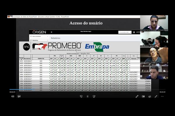 Criadores de Canchim participam de evento para o fomento do Promebo