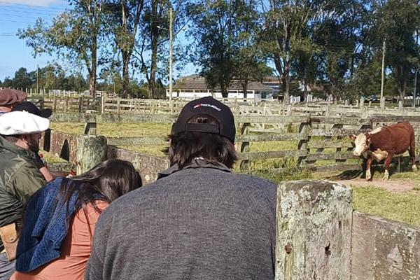Avaliadores do Promebo participam de reciclagem em Arroio Grande (RS)