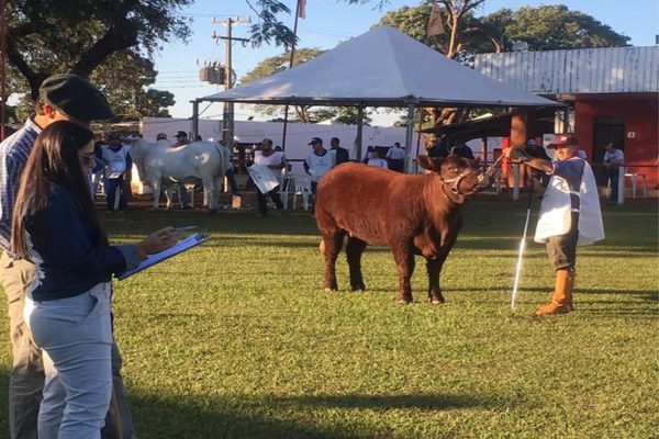 ANC participa da Expoingá no Paraná