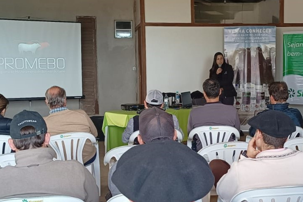 Seleção focada em produção é destaque em dia de campo