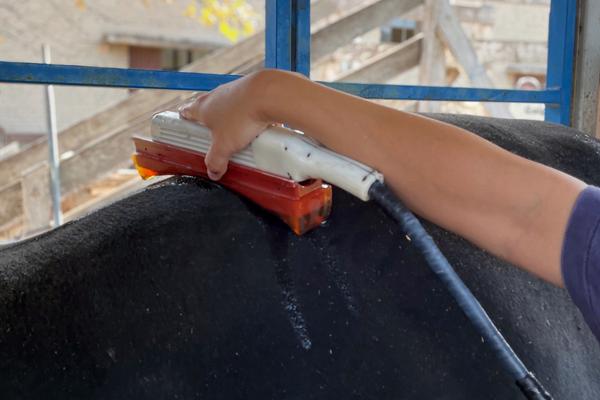Seleção de animais por dados de carcaça será destaque no 1º Fórum Promebo na Prática