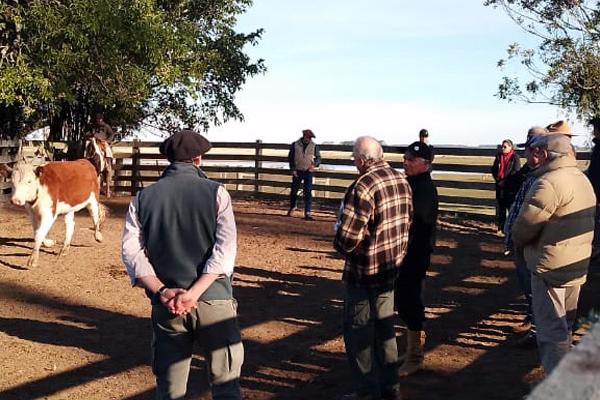 ANC promove reciclagem com técnicos da raça Hereford