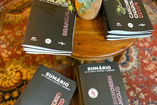 ANC lança Sumário de Touros e Ventres em Pelotas (RS)