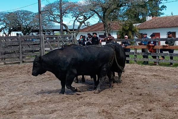 Análise de dados ganha força nos julgamentos
