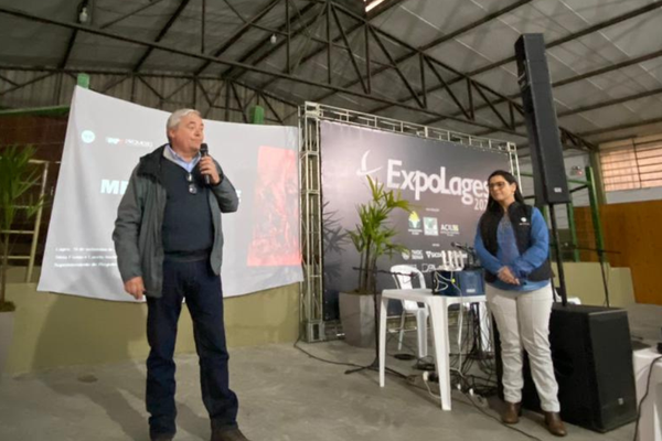 Promebo ganha força na seleção de bovinos em SC