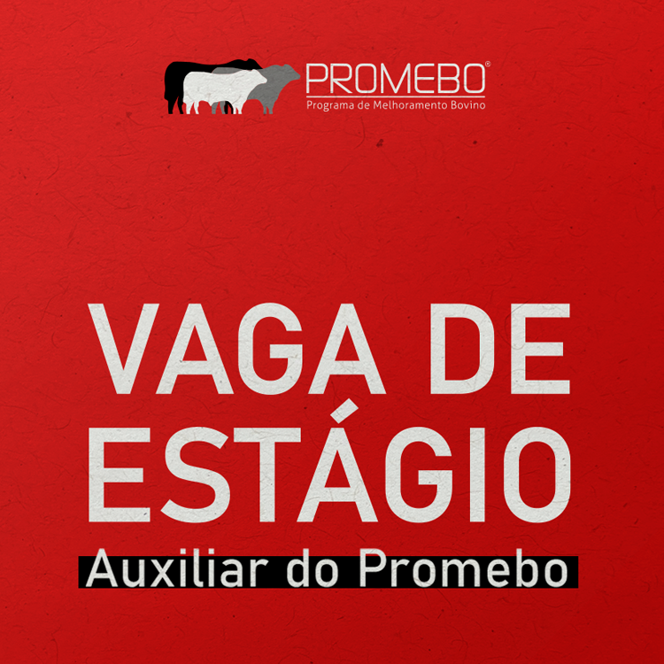Promebo abre vaga de estágio em Pelotas (RS) - Imagem
