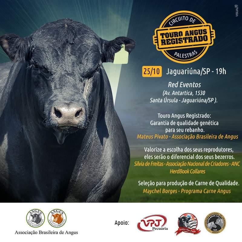 Circuito de Palestras Touro Angus Registrado - Imagem