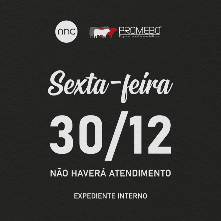ANC não terá atendimento nesta sexta-feira (30/12) - Imagem