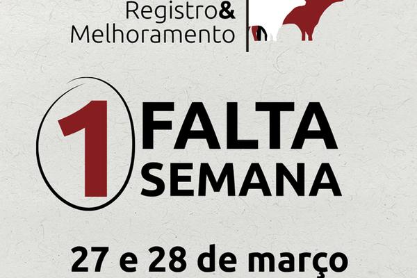 Inscrições para o 2º Curso de Registro&Melhoramento encerram nesta quarta-feira