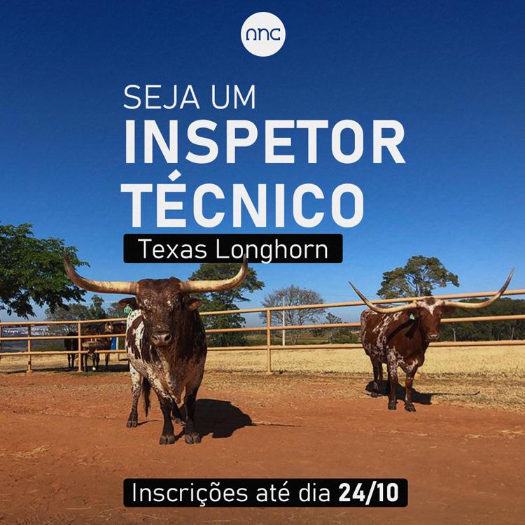 ANC abre seleção para inspetores técnicos da raça Texas Longhorn - Imagem