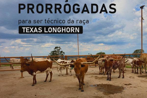 Prorrogadas as inscrições para processo seletivo de técnicos da raça Texas Longhorn