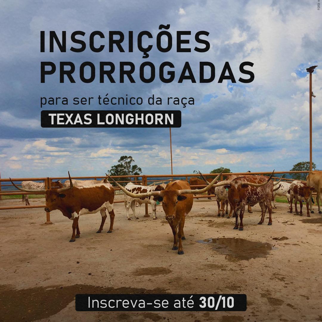 Prorrogadas as inscrições para processo seletivo de técnicos da raça Texas Longhorn - Imagem
