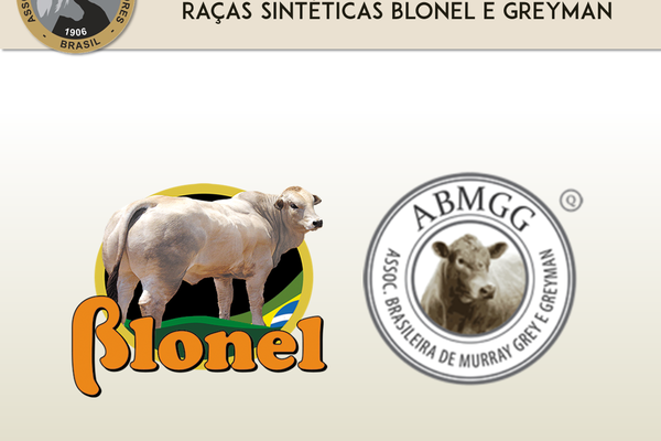 ANC recebe delegação para registrar as raças sintéticas BLONEL e GREYMAN