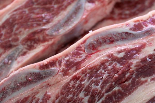 Produção de carcaças de qualidade será foco do Meet da Carne em SC
