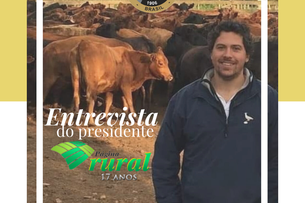 Presidente da Associação concede entrevista