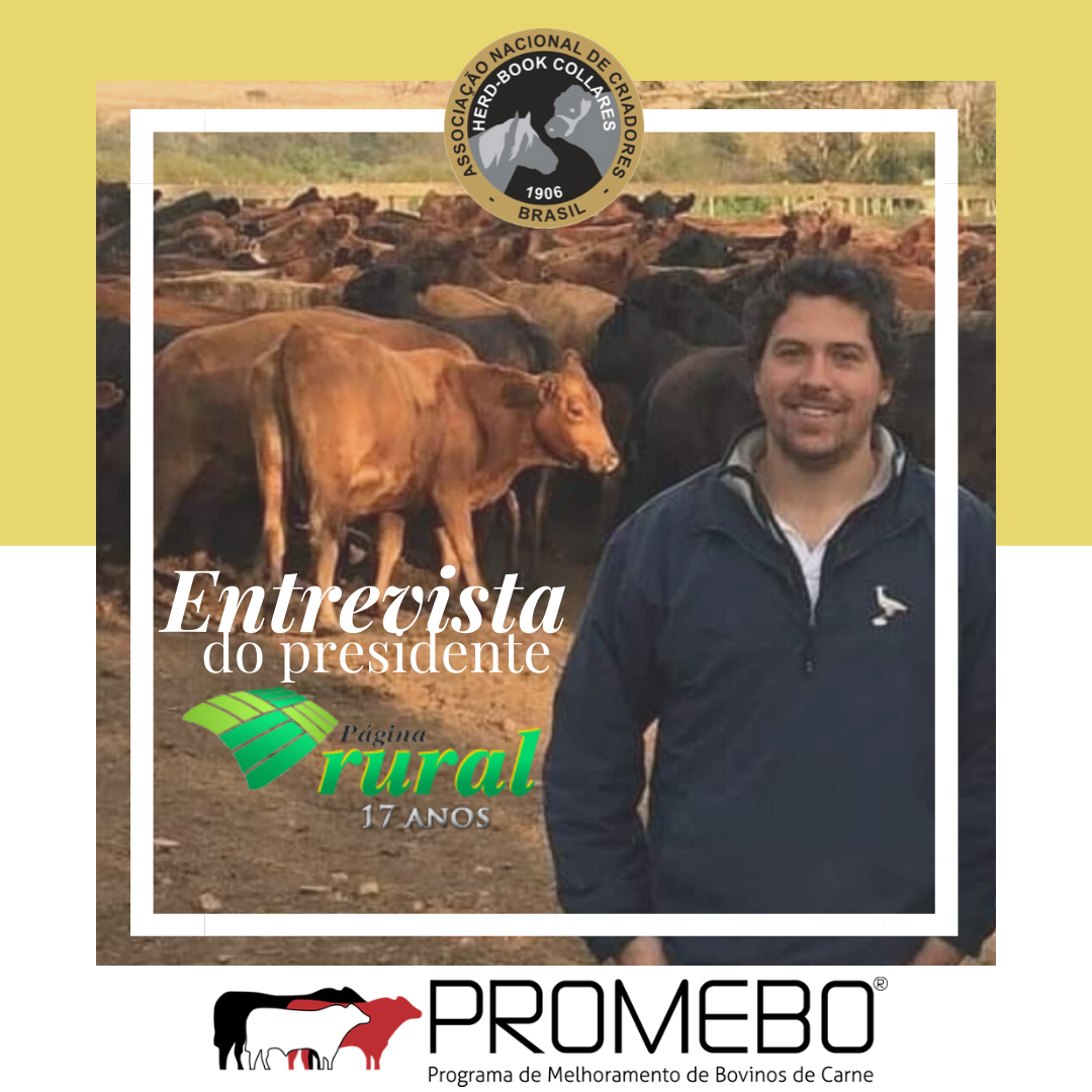 Presidente da Associação concede entrevista - Imagem