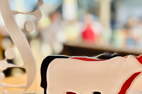 Prêmio que reconhece melhoramento genético na pecuária será entregue na Expointer