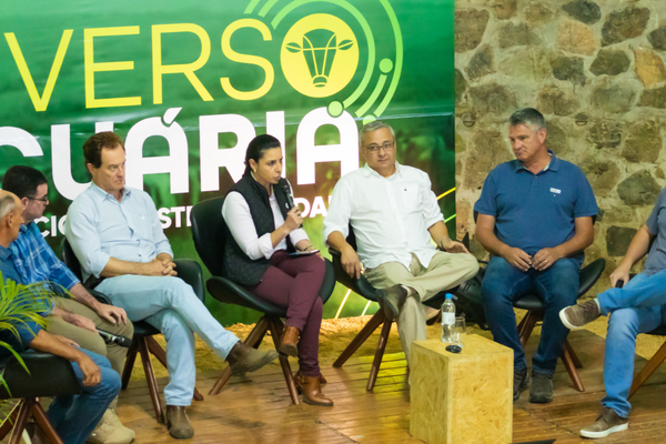 Especialistas debatem importância do melhoramento genético para aumentar lucro no campo
