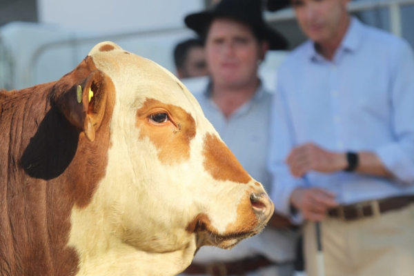 Fenagen 2025 terá novidade no critério de julgamento das raças
