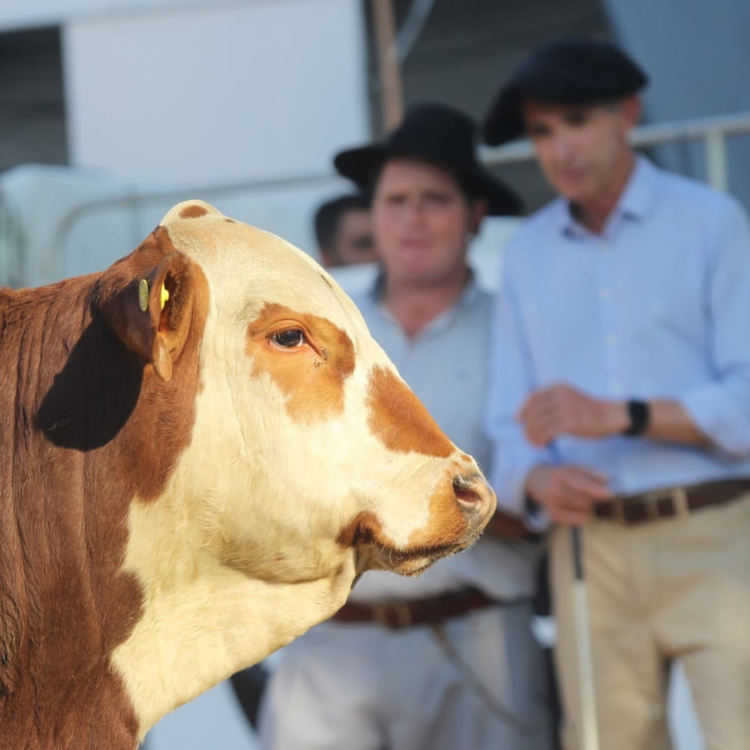 Fenagen 2025 terá novidade no critério de julgamento das raças - Imagem