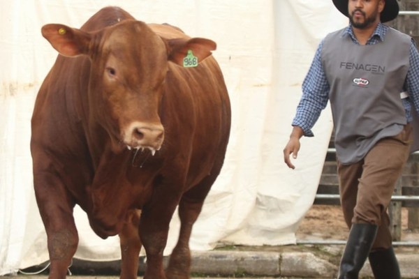 ANC abre inscrições para a segunda edição da Fenagen Promebo
