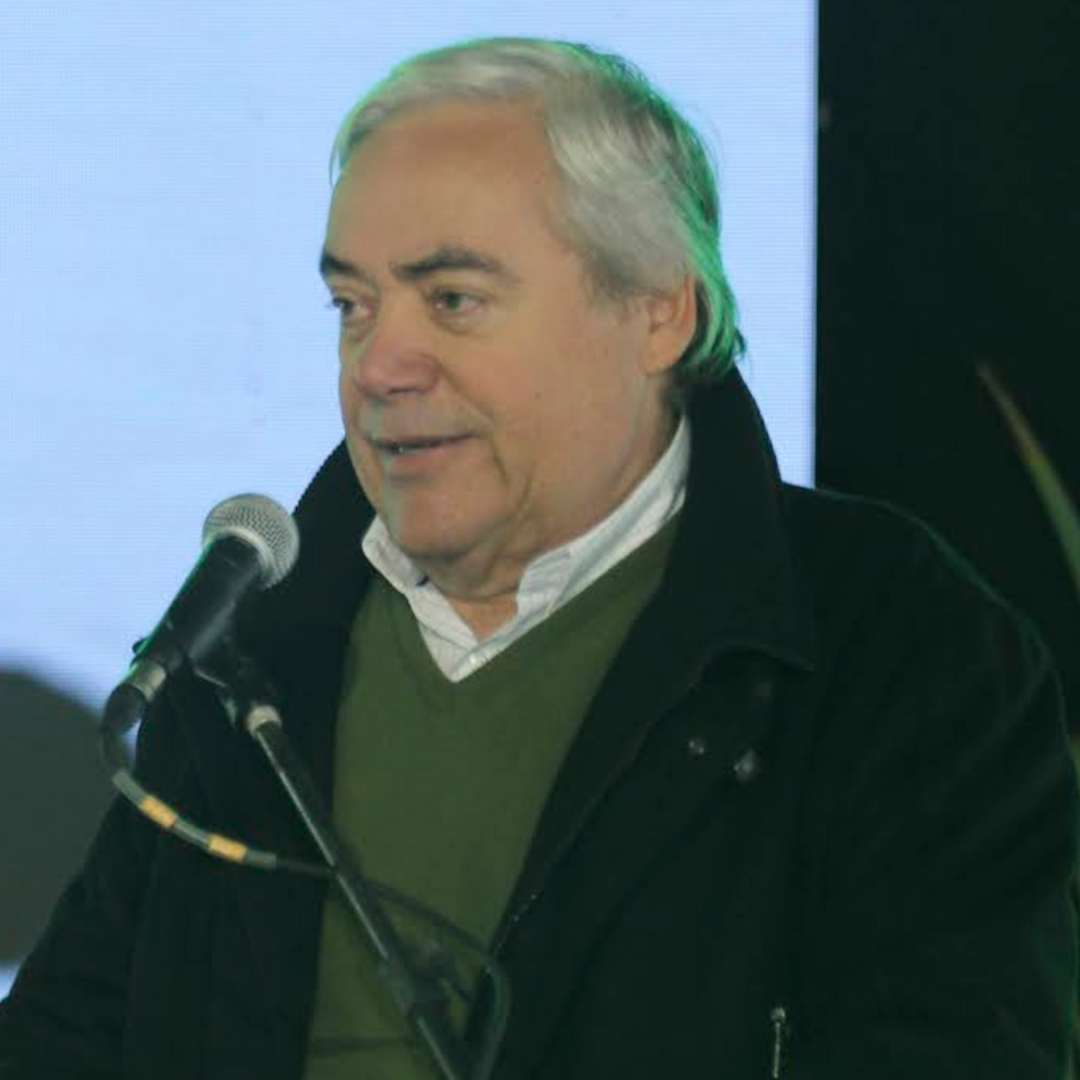Leilões e grandes eventos marcaram de forma positiva o setor pecuário em 2025 - Imagem