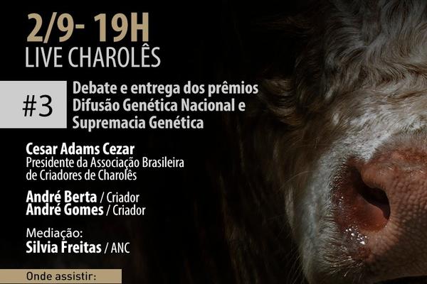 Charolês é foco de live nesta quarta-feita