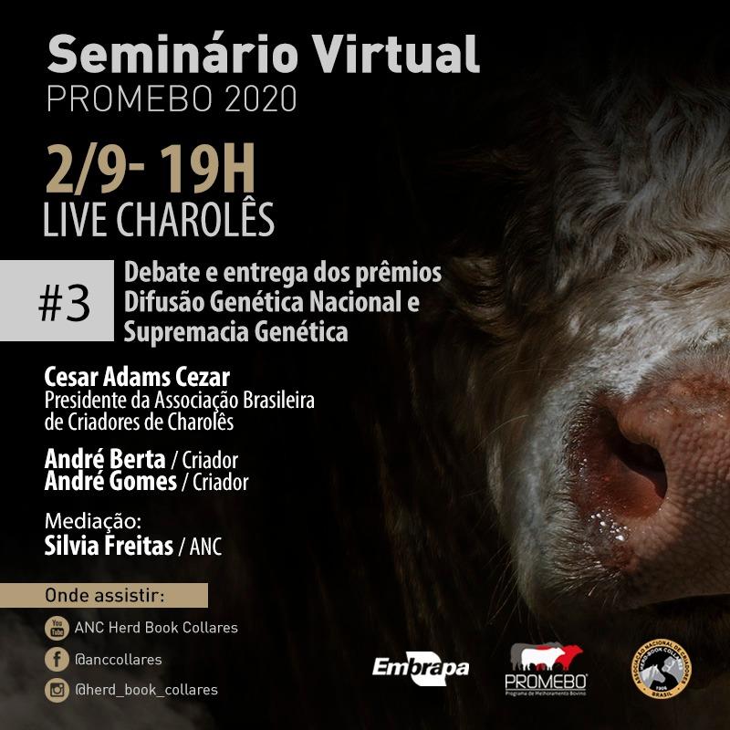 Charolês é foco de live nesta quarta-feita - Imagem