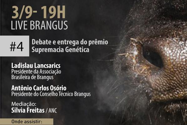 Quinta-feira é dia do Brangus nas redes da ANC