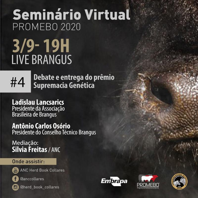 Quinta-feira é dia do Brangus nas redes da ANC - Imagem